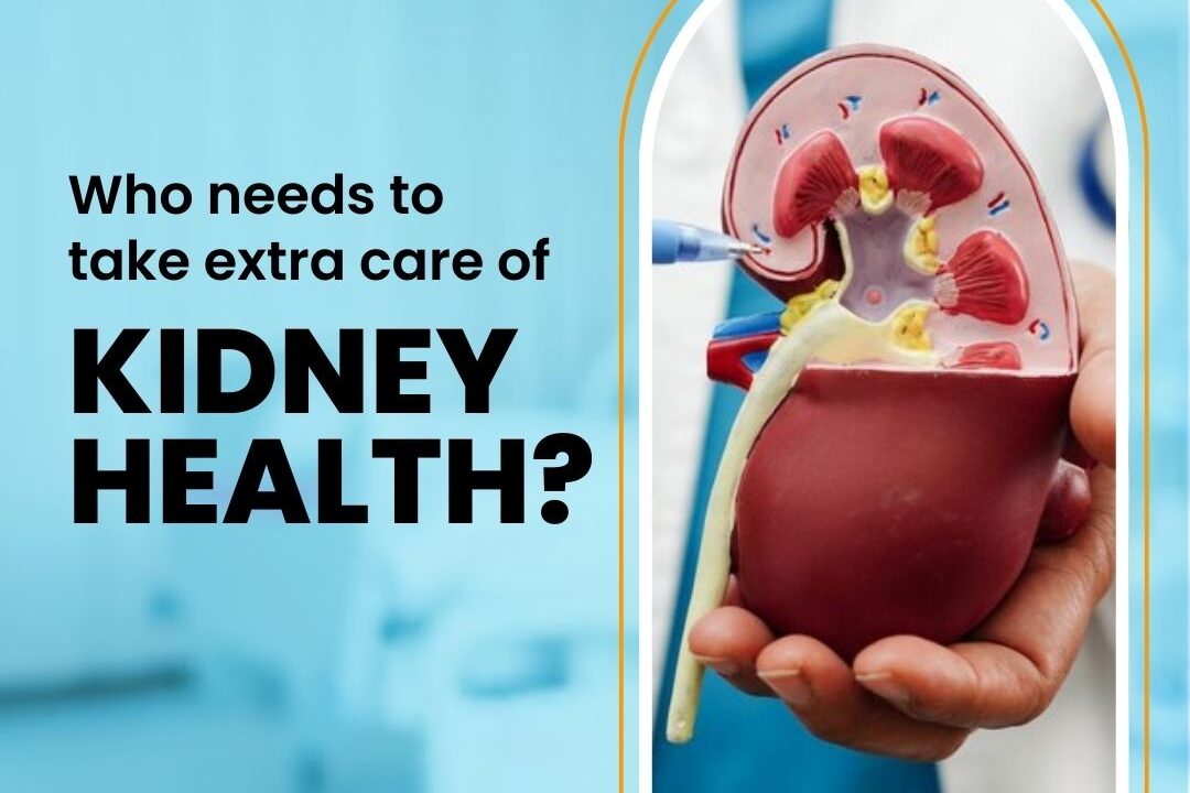 Who Needs to Take Extra Care of Kidney Health ?